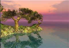 Nikon island