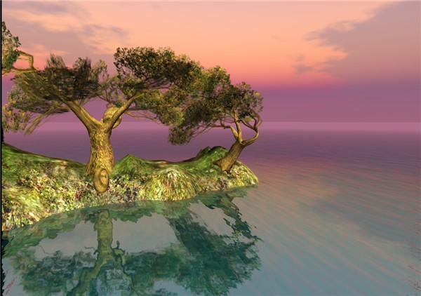 Nikon island
