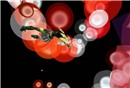 Bubble