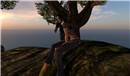 Snapshot_026