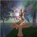 lynn-fae1