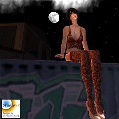Snapshot_133