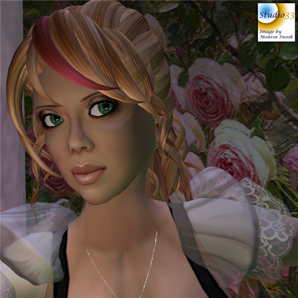 Snapshot_092