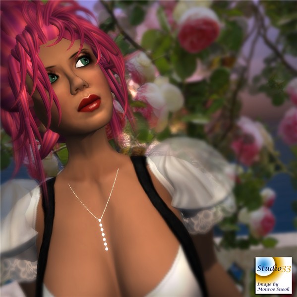 Snapshot_036