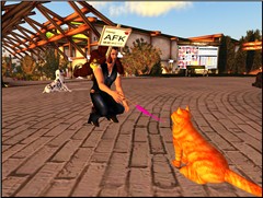 The Pet Village