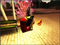 The Pet Village