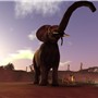 African Elephant