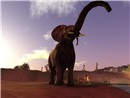 African Elephant