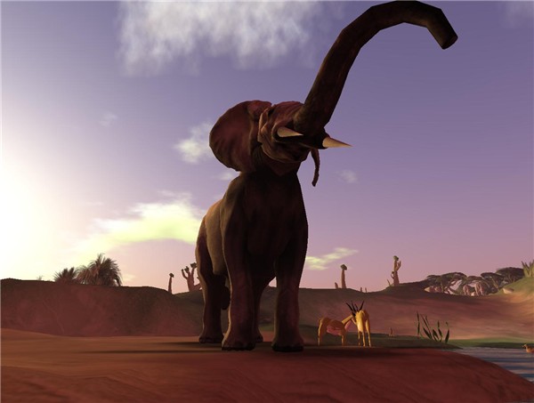 African Elephant
