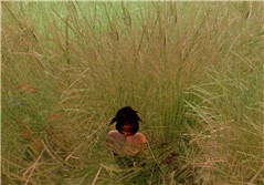 In the grass
