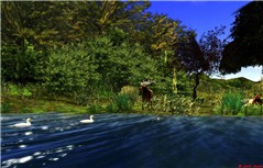 scenic landscape