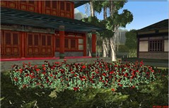 Hipihi