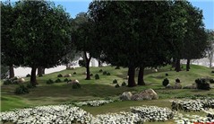 Entropia Universe