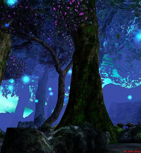 Everquest 2
