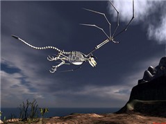 bones