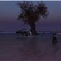 chouchou distance - Ina Centaur
