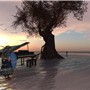 chouchou sunset - Ina Centaur
