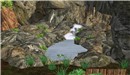 Chakrin Forest - Koinup Burt