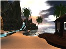 Pic025