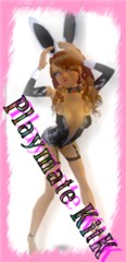 playmate kitK 1