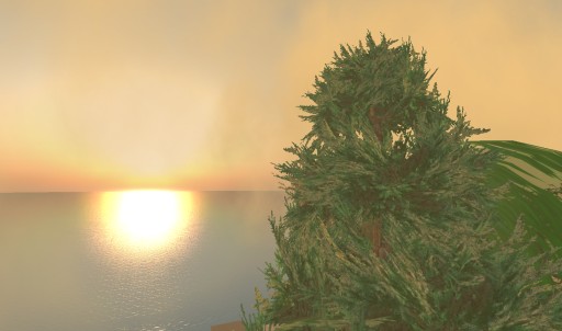 WindlIght_001