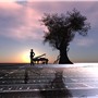 The travel