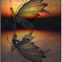 Winged Reflection