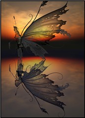Winged Reflection