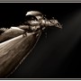 dragonflight