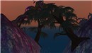 la Reve - Koinup Burt
