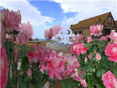 Fantasy Gardens