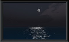The Night Sky