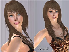 BlueskyTSCRosalieModel