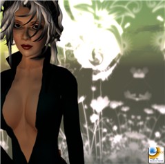 chouchou_026 copy