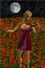 Notte stellata