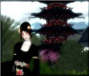 gion_008