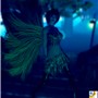 fairy night patrol