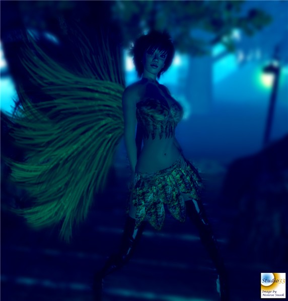 fairy night patrol