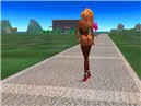 the-walk