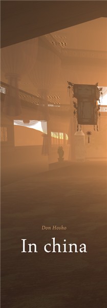  Don Hosho in China  poster ( photorealstic windlight based photos ) 