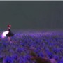 violet02