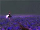 violet02