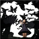 The Birds