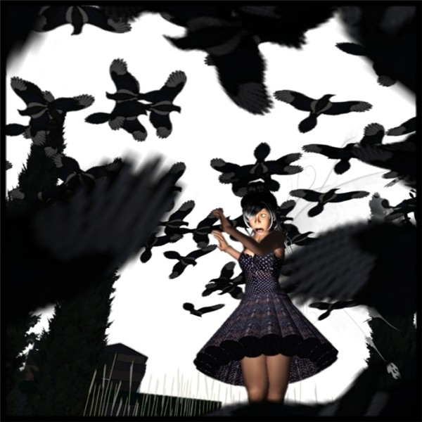 The Birds