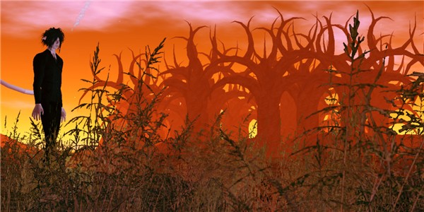 red trees