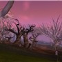 The Scorched Grove