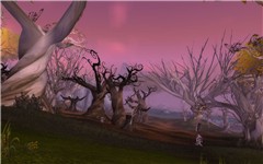 The Scorched Grove