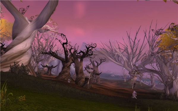 The Scorched Grove