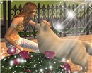 Pet