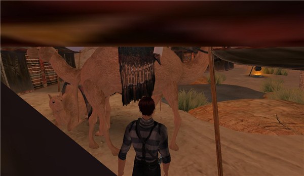 KingDom of Sand - Koinup Burt